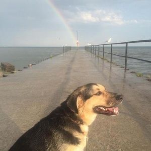 Meet your Posher, Edward